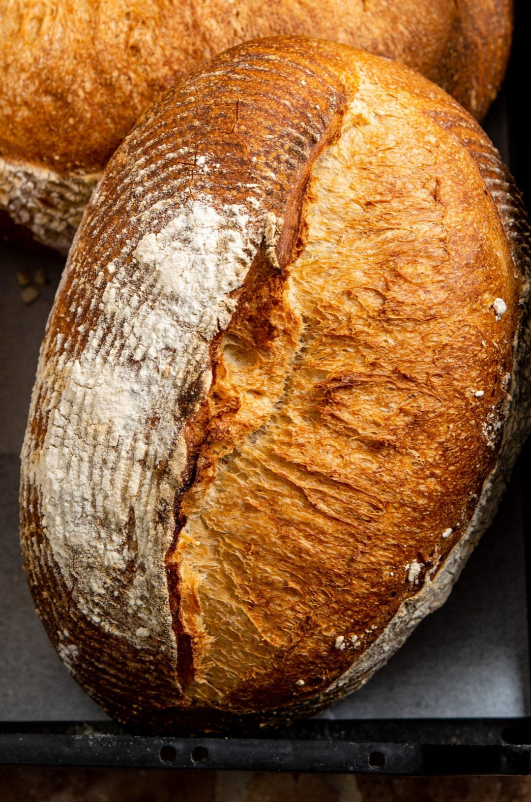 Exploring the Art of Sourdough: Traditional vs. Sourdough Campagne Batard